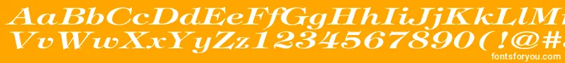 TiffanyBolditalicEx Font – White Fonts on Orange Background