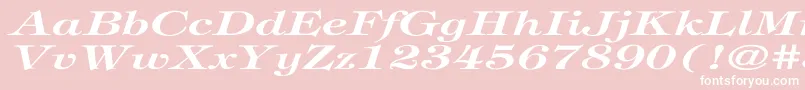 TiffanyBolditalicEx Font – White Fonts on Pink Background