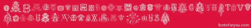 IntellectaMonogramsRandomSamplesNine Font – Pink Fonts on Red Background
