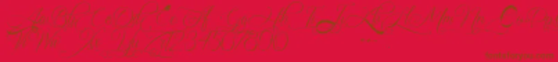 ChiangmaiHostel Font – Brown Fonts on Red Background