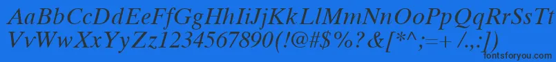 TimesTenCyrillicInclined Font – Black Fonts on Blue Background