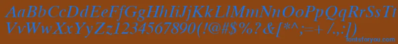 TimesTenCyrillicInclined Font – Blue Fonts on Brown Background