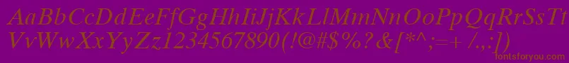 TimesTenCyrillicInclined Font – Brown Fonts on Purple Background