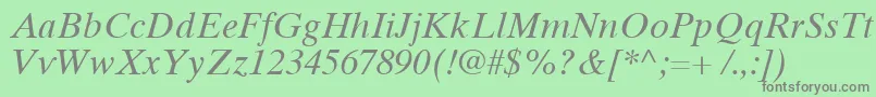 TimesTenCyrillicInclined Font – Gray Fonts on Green Background