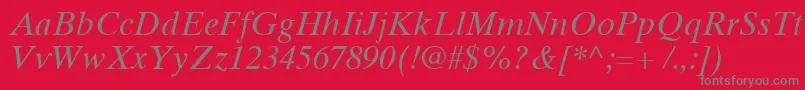 TimesTenCyrillicInclined-Schriftart – Graue Schriften auf rotem Hintergrund