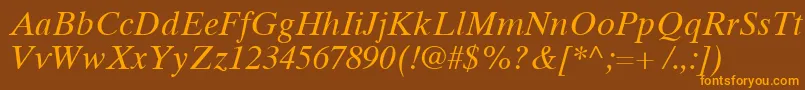 TimesTenCyrillicInclined Font – Orange Fonts on Brown Background