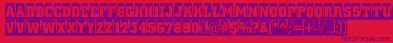 ACitynovattlcmsp Font – Purple Fonts on Red Background