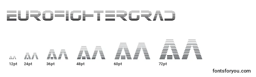 Размеры шрифта Eurofightergrad