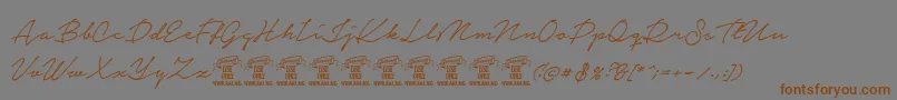 NoteraPersonaluseonly Font – Brown Fonts on Gray Background