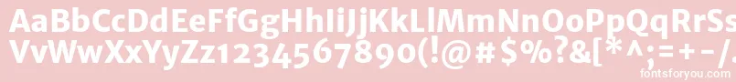 MerriweathersansExtrabold Font – White Fonts on Pink Background