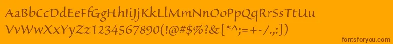 SanvitoproRegular Font – Brown Fonts on Orange Background