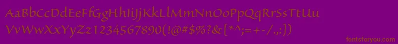 SanvitoproRegular Font – Brown Fonts on Purple Background