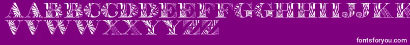 Portabell Font – White Fonts on Purple Background