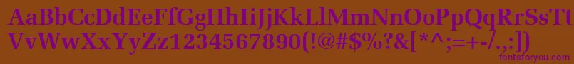 ProtocolSsiBold Font – Purple Fonts on Brown Background