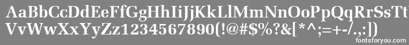 フォントProtocolSsiBold – 灰色の背景に白い文字