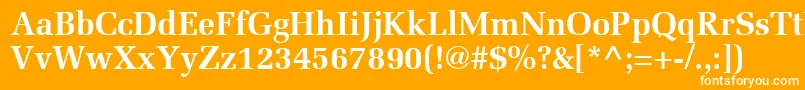 ProtocolSsiBold Font – White Fonts on Orange Background
