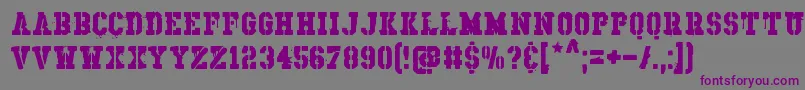 RhosDirnaith-Schriftart – Violette Schriften auf grauem Hintergrund