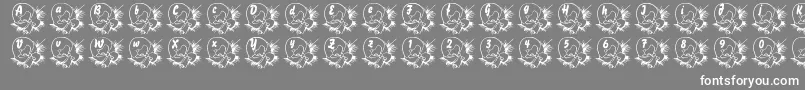 LmsBabyEgg Font – White Fonts on Gray Background