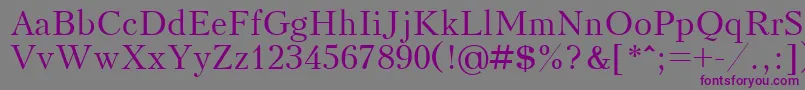 フォントKudrashovctt – 紫色のフォント、灰色の背景
