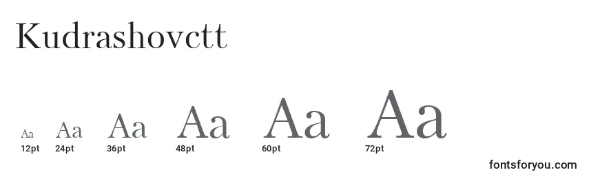 Размеры шрифта Kudrashovctt