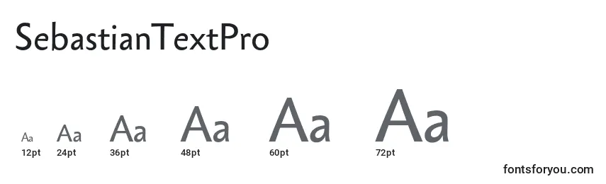 Размеры шрифта SebastianTextPro