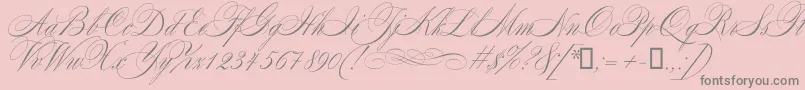 Mozart-Schriftart – Graue Schriften auf rosa Hintergrund