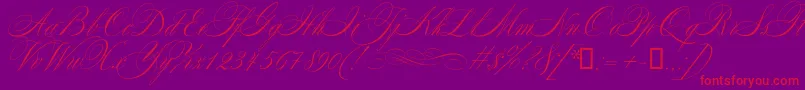 Mozart-Schriftart – Rote Schriften auf violettem Hintergrund