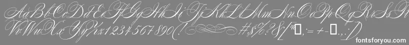 Mozart Font – White Fonts on Gray Background