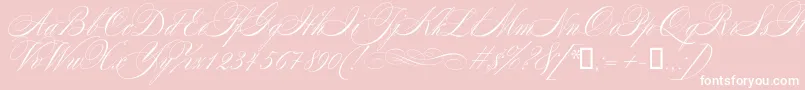 Mozart-Schriftart – Weiße Schriften auf rosa Hintergrund