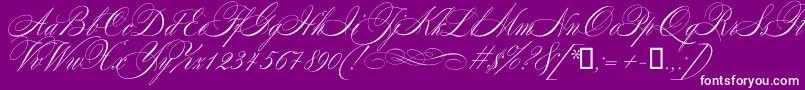 Mozart Font – White Fonts on Purple Background