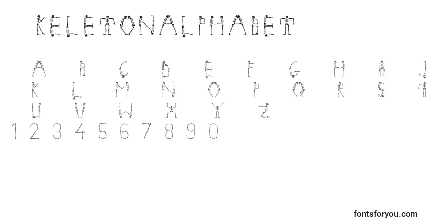 Schriftart Skeletonalphabet – Alphabet, Zahlen, spezielle Symbole