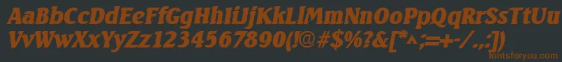 SeagulllhBoldItalic Font – Brown Fonts on Black Background