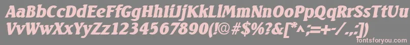 SeagulllhBoldItalic Font – Pink Fonts on Gray Background