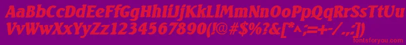 SeagulllhBoldItalic Font – Red Fonts on Purple Background