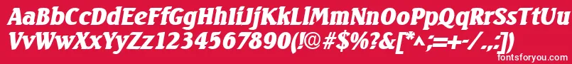 SeagulllhBoldItalic Font – White Fonts on Red Background