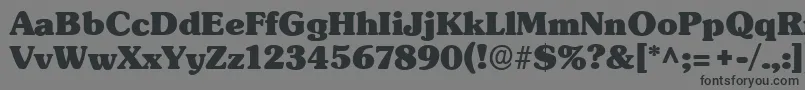 フォントSubwayRegular – 黒い文字の灰色の背景