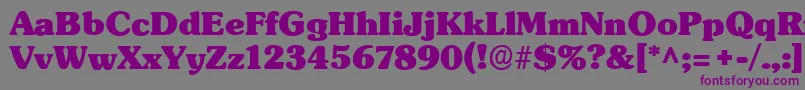 フォントSubwayRegular – 紫色のフォント、灰色の背景