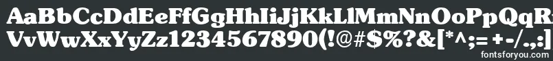SubwayRegular Font – White Fonts on Black Background