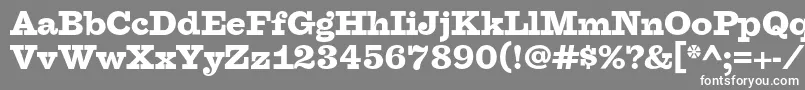 フォントFaraoBlackOt – 灰色の背景に白い文字