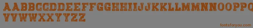 BringmeawarDemo Font – Brown Fonts on Gray Background