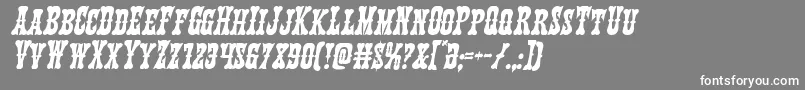 Texasrangerital Font – White Fonts on Gray Background