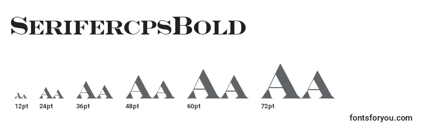Размеры шрифта SerifercpsBold