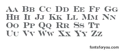 SerifercpsBold Font