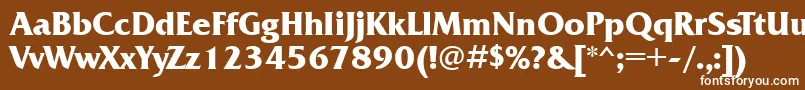 Czcionka Frq85C – białe czcionki na brązowym tle