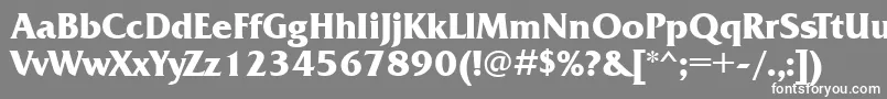 フォントFrq85C – 灰色の背景に白い文字