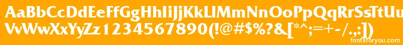 フォントFrq85C – オレンジの背景に白い文字