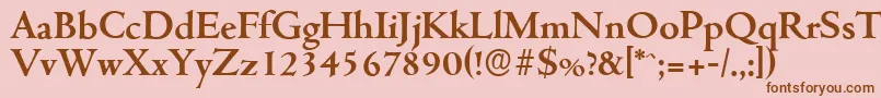 CambridgeserialBold Font – Brown Fonts on Pink Background