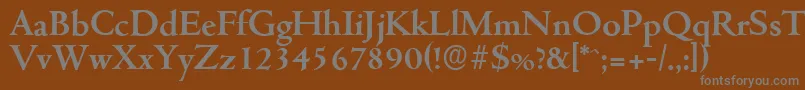 CambridgeserialBold Font – Gray Fonts on Brown Background