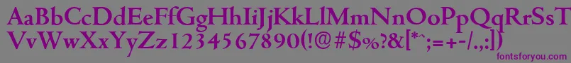 CambridgeserialBold-fontti – violetit fontit harmaalla taustalla