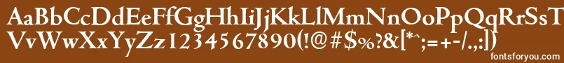 Czcionka CambridgeserialBold – białe czcionki na brązowym tle